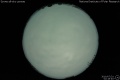 2010/7/31 02:19’40”