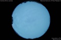 2011/3/1 20:07’10”