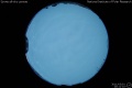 2011/3/1 20:11’10”