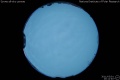 2011/3/1 20:11’40”