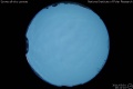 2011/3/1 20:12’10”