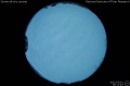 2011/3/1 20:12’40”