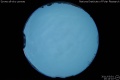 2011/3/1 20:14’10”