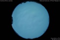 2011/3/1 20:19’10”