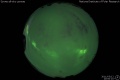 2011/3/12 20:00’10”