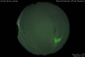 2011/3/12 20:04’10”