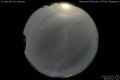 2011/3/25 19:00’10”