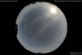 2011/3/25 21:00’40”