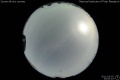 2011/3/25 23:00’10”