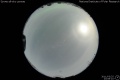 2011/3/25 23:09’10”