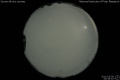 2011/3/28 00:39’10”