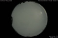 2011/3/28 00:40’10”