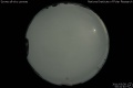 2011/3/28 00:41’40”