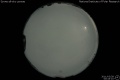 2011/3/28 00:43’10”