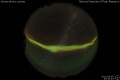 2011/4/5 20:30’40”