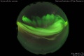 2011/4/5 21:00’10”