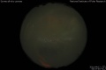 2011/4/12 00:37’40”