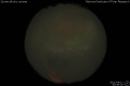 2011/4/12 00:39’10”