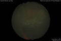 2011/4/12 00:40’10”