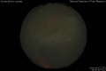 2011/4/12 00:40’40”