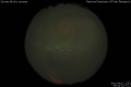 2011/4/12 00:43’10”