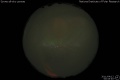 2011/4/12 00:43’40”