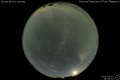 2011/5/10 16:45’10”