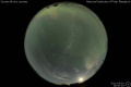 2011/5/10 16:50’10”