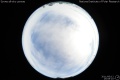2011/6/12 15:09’10”