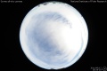 2011/6/12 15:35’10”