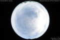 2011/6/12 16:12’10”
