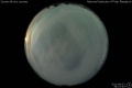2011/6/13 04:01’40”