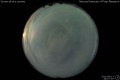 2011/6/13 04:07’10”