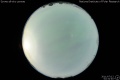 2011/7/12 02:31’40”
