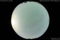 2011/7/12 02:37’40”