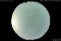 2011/7/12 02:39’10”