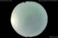 2011/7/12 02:41’10”