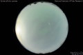 2011/7/12 02:44’10”