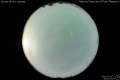 2011/7/12 02:51’10”