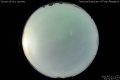 2011/7/12 02:51’40”