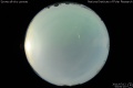 2011/7/12 03:00’10”