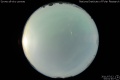 2011/7/12 03:01’40”