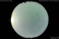 2011/7/12 03:04’10”
