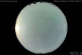 2011/7/12 03:07’10”