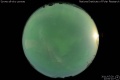 2011/7/20 22:00’10”