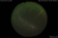 2011/7/31 19:51’10”