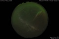 2011/7/31 19:52’10”