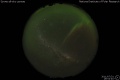 2011/7/31 19:52’40”