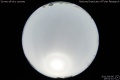 2011/9/6 19:52’10”