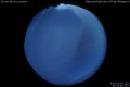 2012/2/28 21:42’40”